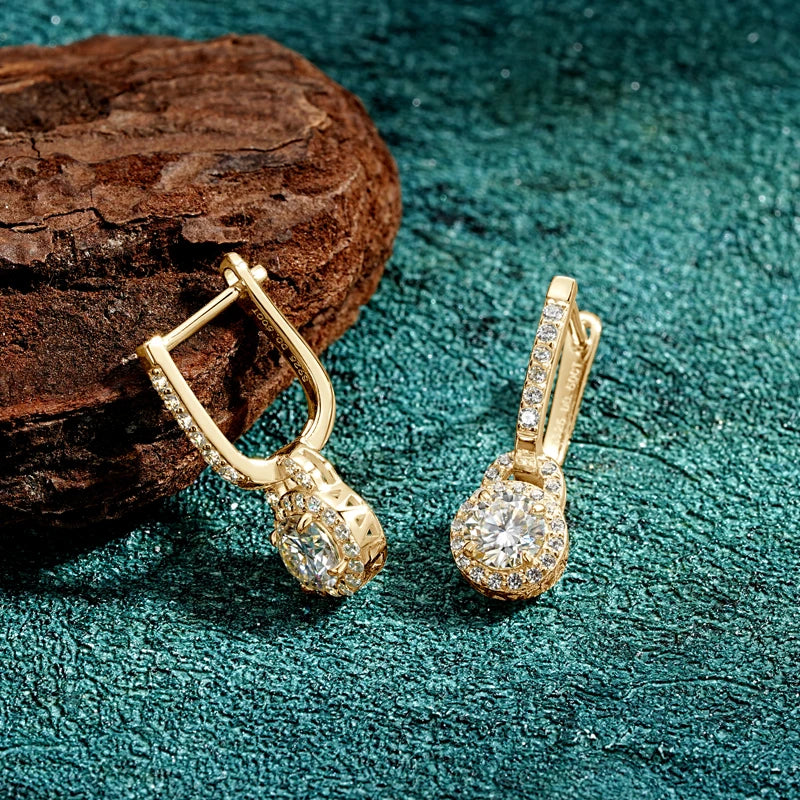 Sparkle 5mm 0.5ct Iced Out Light Luxury Moissanite 925 Sterling Silver U-Shaped Dangle Hoop Earrings for Women